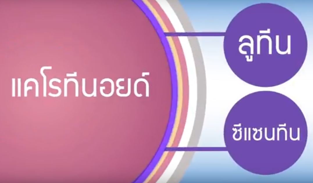 Luteines เพราะเรามองเห็นแทนกันไม่ได้ ป้องกันจอประสาทตาเสื่อม