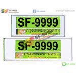 SF-G 004 ขาวเส้นดำ