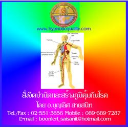 ซีดีสั่งจิตบำบัดและสร้างภูมิคุ้มกันโรค