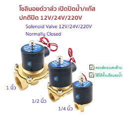 โซลินอยด์วาล์ว Solenoid valve 2W DN08 DN15 DN25 12V 24V 220V ทองแดงล้วน