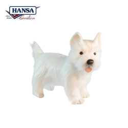4567 West Highland Terrier 50 cm.L