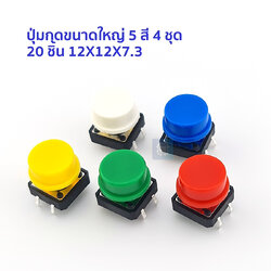 ปุ่มกดขนาดใหญ่ 5 สี 4 ชุด 20 ชิ้น 12X12X7.3
