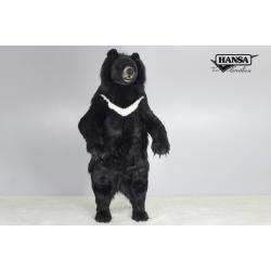 7693 Ursus Thibetanus Formosanus 190 cm.H