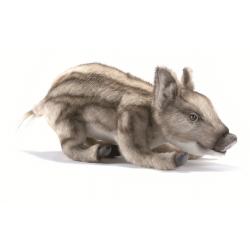 5027 Wild Pig Baby Laying 37 cm.L