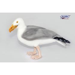 7235 Albatross 36 cm.L