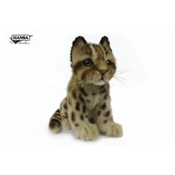 7739 Leopard Cat Shihu Cub 22cm.L