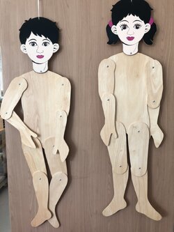 ร่างกายของฉัน ชาย หญิง หุ่นไม้ เชิด ขยับได้ (ขายตัวละ) , ของเล่นไม้, ของเล่นเสริมพัฒนาการ, ของเล่นเด็กอนุบาล, สื่อการสอนเด็กอนุบาล