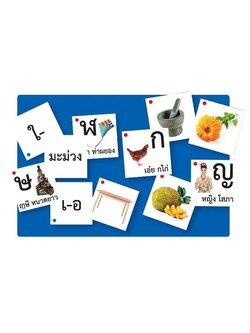บัตรภาพสำหรับกระเป๋าผนังชุดเรียนรู้พยัญชนะไทย, ของเล่นเสริมพัฒนาการ, สื่อการสอน
