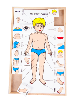 ของเล่น, ของเล่นเด็ก, จิ๊กซอว์, ตัวต่อ, จับคู่ร่างกายของฉัน (ภาษาอังกฤษ) , ของเล่นไม้, ของเล่นเสริมพัฒนาการ, ของเล่นเด็กอนุบาล, สื่อการสอนเด็กอนุบาล
