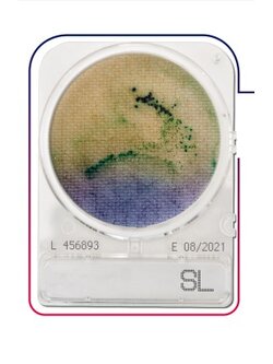 เพลทนับเชื้อสำเร็จรูป Compact Dry Salmonella species (SL) 40/pK