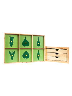 ตู้รูปใบไม้ พร้อมกรอบใบไม้ 18 แบบ, ของเล่นไม้, ของเล่นเสริมพัฒนาการ, ของเล่นเด็ก, สื่อการสอนมอนเตสซอรี่ ,montessori, สื่อการสอนประถม