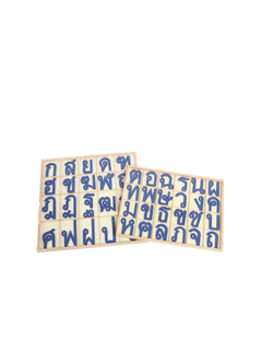 อักษรเคลื่อนที่ พยัญชนะไทย , ของเล่นไม้, ของเล่นเสริมพัฒนาการ, ของเล่นเด็ก, สื่อการสอน,มอนเตสซอรี่ ,montessori, สื่อการสอนประถม