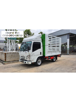 4 ล้อ ISUZU NLR Lite คอกเหล็กกล่อง