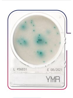 เพลทนับเชื้อสำเร็จรูป Compact Dry Yeast & Mold (YMR) 40/pK