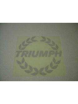 Triumph tarra hopeinen, halkaisija 215 mm =10e