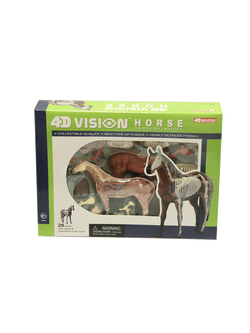 โมเดลม้า (4D Vision Horse) ,ของเล่นเสริมพัฒนาการ, ของเล่นเด็กอนุบาล, สื่อการสอนเด็กอนุบาล