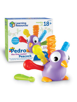 เรียนรู้สีสัน และผิวสัมผัส, ของเล่นเสริมพัฒนาการ ,ของเล่นเสริมทักษะ,ของเล่นเด็ก, สื่อการสอนอนุบาล