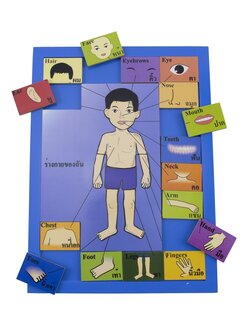 จับคู่ร่างกายของฉัน 24 ชิ้น WT (ภาษาอังกฤษ) , จิ๊กซอ ,จับคู่, คำศัพท์ ,ของเล่นเสริมพัฒนาการ, ของเล่นเด็กอนุบาล, สื่อการสอน สำเนา