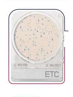 เพลทนับเชื้อสำเร็จรูป Compact Dry Enterococcus species (ETC) 40/pK