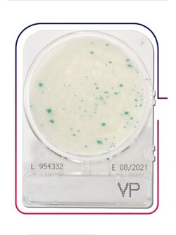 เพลทนับเชื้อสำเร็จรูป Compact Dry Vibrio parahaemolyticus (VP) 40/pK