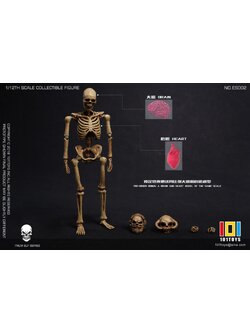 [พร้อมส่ง]101TOYS 1/12 : PALM ELF SERIES SKELETON FRAME BOBY - NO.ES002 -Original color version