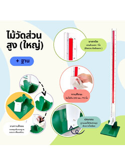 ไม้วัดส่วนสูงแบบตั้งพื้น มีไม้ทาบศีรษะ สำหรับโรงพยาบาล โรงเรียน ไม้วัดส่วนสูงเด็ก