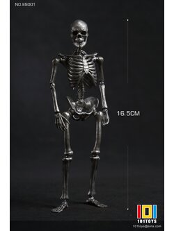 [พร้อมส่ง] "101TOYS 1/12 : PALM ELF SERIES SKELETON FRAME BOBY - NO.ES001 -Silver Edition"