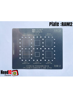 แผ่นเพลท : RAM2