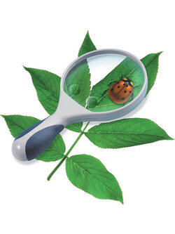 แว่นขยายใหญ่พิเศษ ขนาดเส้นผ่าศูนย์กลาง100mm , , ของเล่นเสริมพัฒนาการ, ของเล่นเด็กอนุบาล, สื่อการสอนเด็กอนุบาล