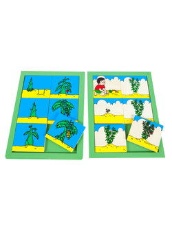 ของเล่น, ของเล่นเด็ก, จิ๊กซอว์, ตัวต่อ, ภาพลำดับเหตุการณ์ พืช , ของเล่นไม้, ของเล่นเสริมพัฒนาการ, ของเล่นเด็กอนุบาล, สื่อการสอนเด็กอนุบาล