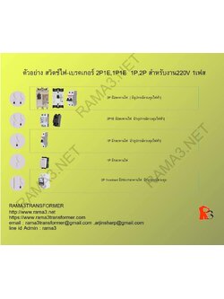 ตัวอย่าง สวิตช์ไฟ-เบรคเกอร์ 2P1E, 1P1E, 1P, 2P สำหรับงาน220V 1เฟส