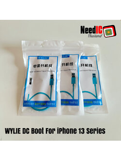 WYLIE DC Boot สำหรับ iPhone 13 Series