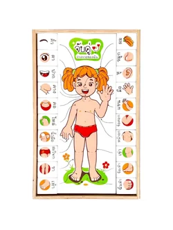 จับคู่ร่างกายของฉัน (ภาษาไทย) , ของเล่นไม้, ของเล่นเสริมพัฒนาการ, ของเล่นเด็ก, สื่อการสอนเด็ก