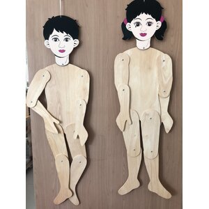 ร่างกายของฉัน ชาย หญิง หุ่นไม้ เชิด ขยับได้ (ขายตัวละ) , ของเล่นไม้, ของเล่นเสริมพัฒนาการ, ของเล่นเด็กอนุบาล, สื่อการสอนเด็กอนุบาล