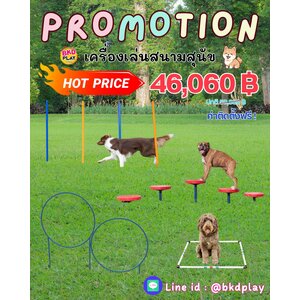 เครื่องเล่นสนามสุนัขจัดเซ็ท ราคาโปรโมชั่น 46,060 บาท, ฝึกสุนัข ,อุปกรณ์เสริมน้องหมา dog playground