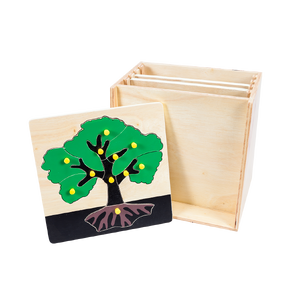 ตู้บาโทนี่พืช พร้อมกระดานต่อภาพ 5 แผ่น, ของเล่นไม้, ของเล่นเสริมพัฒนาการ, ของเล่นเด็กอนุบาล, สื่อการสอนเด็กอนุบาล,มอนเตสซอรี่ ,montessori, สื่อการสอนประถม