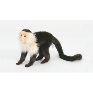 Capuchin Monkey Plush Toy - Adorable Playtime Pal