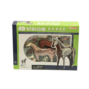 โมเดลม้า (4D Vision Horse) ,ของเล่นเสริมพัฒนาการ, ของเล่นเด็กอนุบาล, สื่อการสอนเด็กอนุบาล