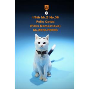 Animal-สรรพสัตว์ทั้งหลาย