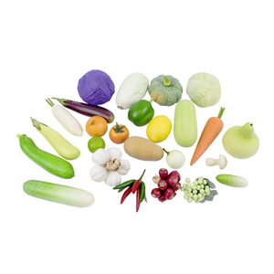 ผักจำลอง 25 ชนิด , ของเล่นเสริมพัฒนาการ, ของเล่นเด็กอนุบาล, สื่อการสอนเด็กอนุบาล วัสดุและสี ปลอดภัยต่อเด็ก มีมาตรฐาน มอก. ตามที่ สพฐ. กำหนด