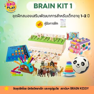 ชุดฝึกสมองเสริมพัฒนาการ 1-2 ขวบ, Brain Kit 1 สำหรับเด็กอายุ 1-2 ปี กระตุ้นพัฒนาการ โรงพยาบาล สื่อการสอน โรงเรียน