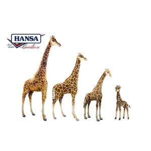 Giraffe - ยีราฟ