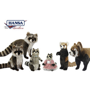 Racoon / Red Panda - แรคคูน / แพนด้าแดง