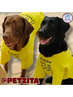 🇹🇭พร้อมส่ง🇹🇭 เสื้อแฟชั่นสุดเท่ห์ ใส่สบาย เสื้อสุนัขพันธุ์ใหญ่ หมาพันธุ์กลาง หมาอ้วน สุนัข สัตว์เลี้ยง