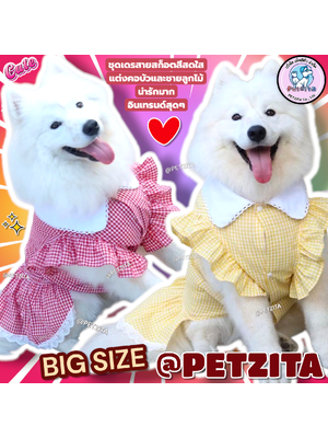 🇹🇭พร้อมส่ง🇹🇭 BIG SIZE👸💗เดรสหมาใหญ่ ลายสก็อตแต่งคอบัวขาวสุดน่ารัก เสื้อผ้าสุนัขพันธุ์ใหญ่ หมาใหญ่ สัตว์เลี้ยง หมาอ้วน