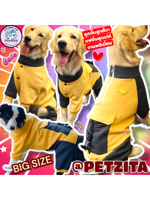 🇹🇭พร้อมส่ง🇹🇭 Big Size 🟡⚫️🔵⚫️ ชุดจั๊มสูทสี่ขาสุดเท่ห์ แต่งกระเป๋า งานแบรนด์พรีเมี่ยม หมากลาง หมาใหญ่ สุนัข เสื้อผ้าสัตว์เลี้ยง