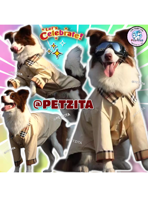 🇹🇭พร้อมส่ง🇹🇭 BIG SIZE เสื้อเชิ๊ตแฟชั่นสุดเท่ห์ สุดหรู เสื้อสุนัขพันธุ์ใหญ่ หมาอ้วน หมากลาง สุนัข สัตว์เลี้ยง