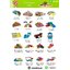 cattalog แคตตาล็อครวม เครื่องเล่นสนาม เฟอร์นิเจอร์ บ้านบอลเด็ก ห้องบอลเด็ก นุ่มนิ่ม