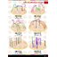 Cattalog แคตตาล็อก ปีนป่าย ชิงช้าเหล็ก เครื่องเล่นสนามเหล็ก ชุดรวมเครื่องเล่นสนาม