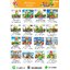 cattalog แคตตาล็อคเครื่องเล่นสนาม รวมทุกโครงสร้างเสา เครื่องเล่นสนามกลางแจ้ง-ในร่ม,ครุภัณฑ์สนามเด็กเล่น,งบ.สพฐ,โครงการโรงเรียนประชารัฐ,
